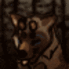 Canis-Lumina's avatar