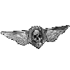 Canonics's avatar