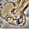 Caoilfhinn's avatar