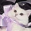 caphenyUwU's avatar