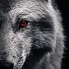 Capicornwolf's avatar