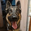 Captainnemotampa's avatar