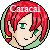 Caracal007's avatar
