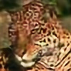 caracalcat's avatar