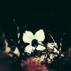 cardiaccoyote's avatar