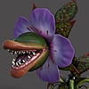carnivorouspet2's avatar