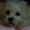 Carolinemobe07's avatar