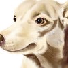 CarpeDiem1210's avatar