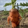 Carrot-Lord's avatar