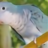 cassowarry's avatar