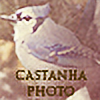 CastanhaPhoto's avatar