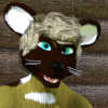 CastedWildDog's avatar