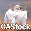 CAStock's avatar