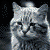 Cat-chyClub's avatar