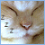 CAT-e's avatar
