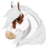 Cat-Equine's avatar
