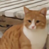 cat-lover91's avatar