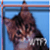 Cat-soup's avatar