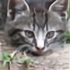 Cat151's avatar