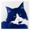 cat3lives's avatar