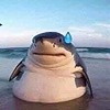 CatarinaBL's avatar