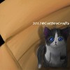 CatBoxCrafts's avatar