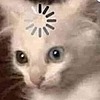 Catchovie's avatar