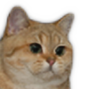 Catdoge0's avatar