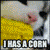 CatEatingCornPlz's avatar