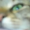 Catfaceperson's avatar