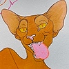 Catgasms's avatar