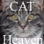 catheaven's avatar