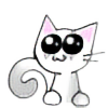 catname's avatar