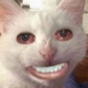 catnesian's avatar