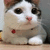 catnoplz's avatar