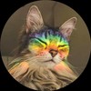 catonarainbow's avatar