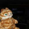 CatPastelBoy's avatar