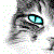 Cats1970's avatar