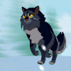 catsdreams's avatar