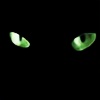 CatsEye-Photography's avatar