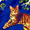 CatsGardensBeyond's avatar