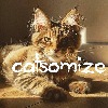 catsomize's avatar