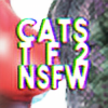 CatsTF2's avatar