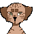 catsunny's avatar