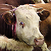 cattle6's avatar