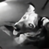 CattleDogMomma's avatar