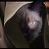 Catvador's avatar