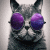CatWithShades's avatar