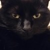 catwoman2476's avatar