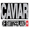 Caviarof306's avatar